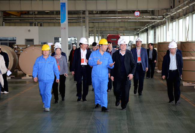 駐洛陽市省、市人大代表到萬基控股集團(tuán)參觀